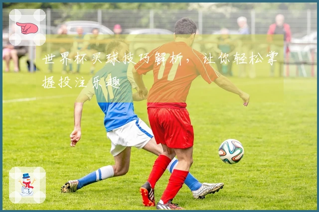 世界杯买球技巧解析，让你轻松掌握投注乐趣