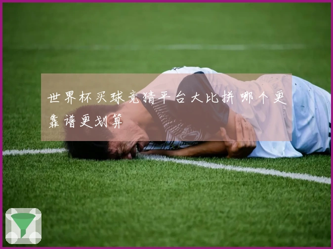 世界杯买球竞猜平台大比拼 哪个更靠谱更划算
