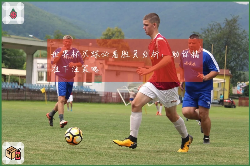 世界杯买球必看胜负分析，助你精准下注策略