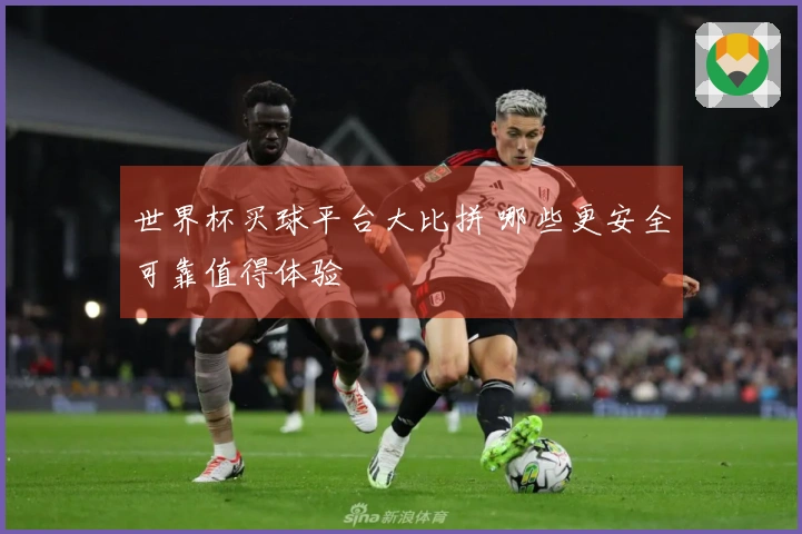 世界杯买球平台大比拼 哪些更安全可靠值得体验