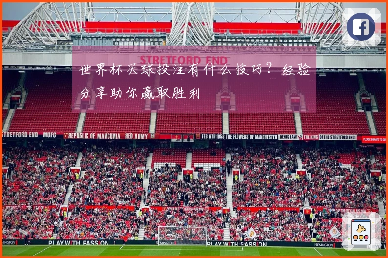 世界杯买球投注有什么技巧？经验分享助你赢取胜利